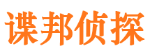 天心市侦探公司